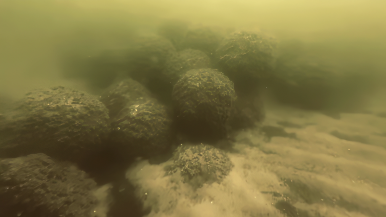 Konference, Zemūdens kultūras mantojums- daudzveidība un pārvaldības izaicinājumi